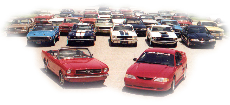 Ford mustang clubs southern california #9